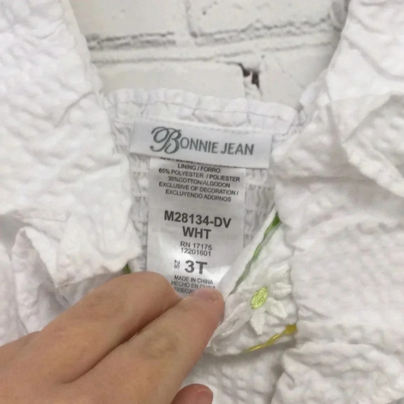 Bonnie Jean White Spring Embroidered Dress size 3T - Picture 4 of 7